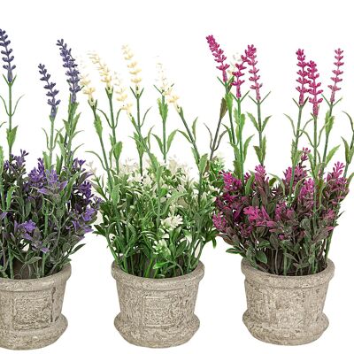 POT WITH FLOWERS ASSORTED COLORS (3 COLORS) HM842346