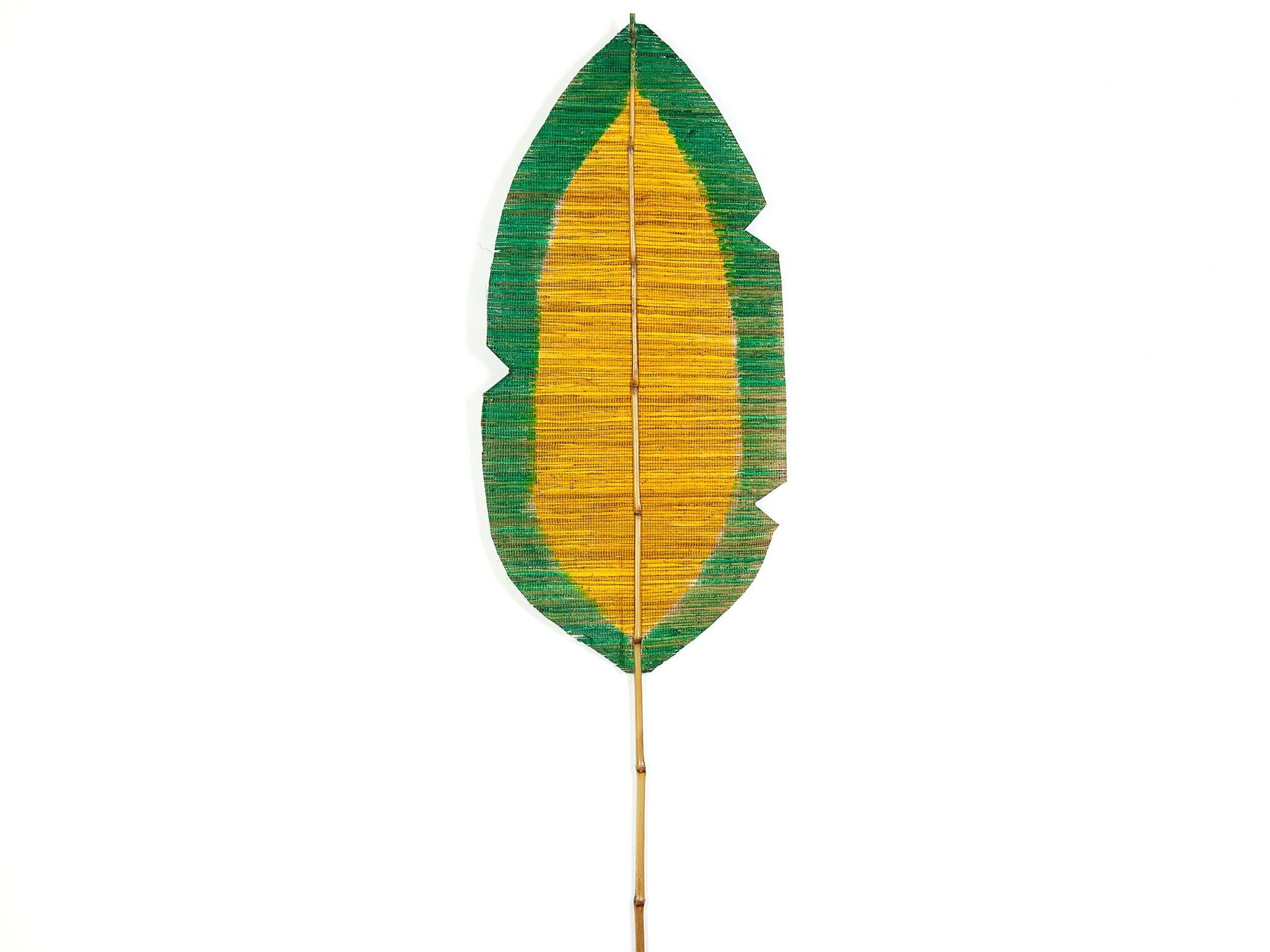 GELB/GRÜNE BANANENBLATTPALME HM472229