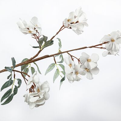 Zweig mit weißen Blüten und Blättern HM92331