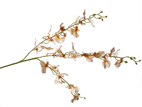 RAMA ORQUIDEAS BLANCA ARTIFICIAL 20X15X95CM HM92345