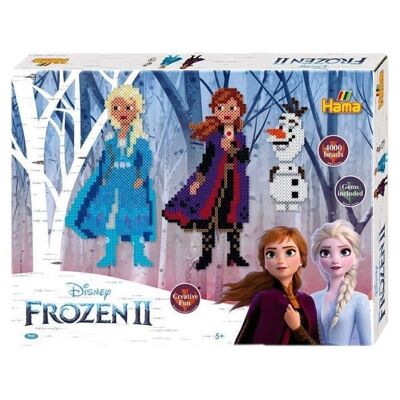 Boîte Cadeau - Disney Frozen Ii 4000P