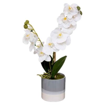 Orchidée En Pot Céramique 45Cm