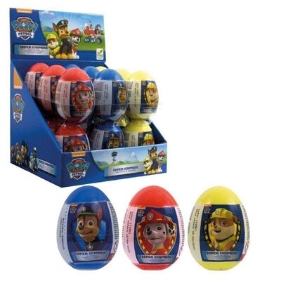 Super Surprise - Paw Patrol