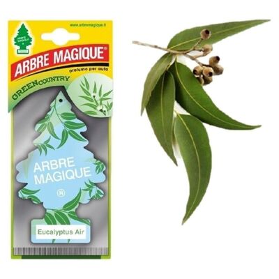 Arbre Magique Eucalyptus Air
