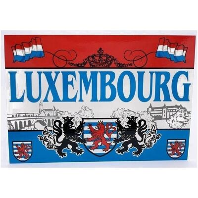 Cartes Postales Vues Du Luxembourg  12X17