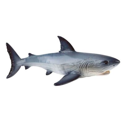 Requin Blanc