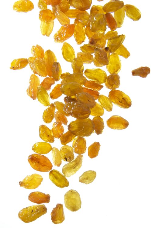 Raisins secs golden choice d'Afrique du Sud - boîte traiteur de 1 kg