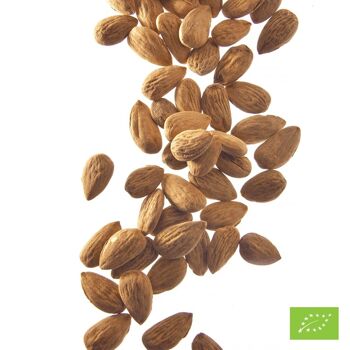 Amandes 12/14 décortiquées Bio* - Boîte traiteur 1 kg