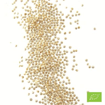Graines de quinoa blanc Bio* - Boîte traiteur 1 kg