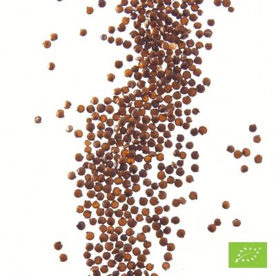 Organic* red quinoa seeds - 1 kg catering box