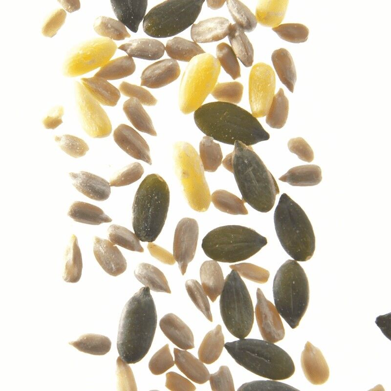 Mix de semillas (piñón, girasol, calabaza) - caja catering 1 kg