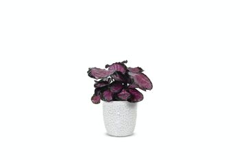 Pot de fleurs en céramique au design texturé à bulles | Style contemporain | Pot à gobelet d'intérieur fait à la main | Finition émaillée en blanc 2