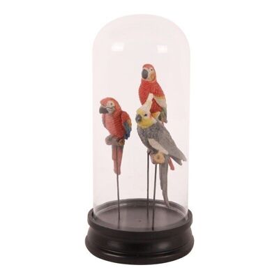 Bell jar with parrot b
