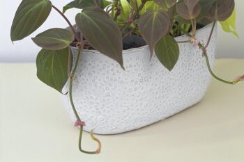 Pot de fleurs en céramique au design texturé à bulles | Style contemporain | Jardinière d'intérieur faite à la main | Finition émaillée en blanc 4
