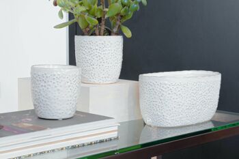 Pot de fleurs en céramique au design texturé à bulles | Style contemporain | Jardinière d'intérieur faite à la main | Finition émaillée en blanc 5