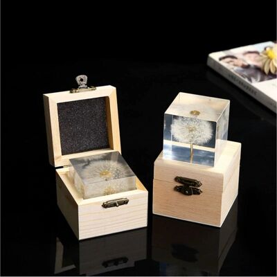 Cubo de cristal de diente de león real