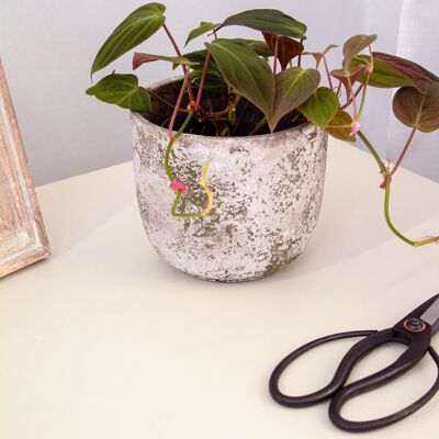 Vaso per piante in cemento con effetto alterato | Stile contemporaneo | Bicchiere per interni | Fatto a mano