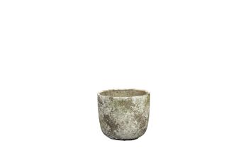 Cache-pot en ciment effet patiné | Style contemporain | Pot à gobelet d'intérieur | Fait à la main | dans une couleur beige 1