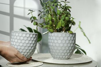 Pot de fleurs en ciment | Style contemporain | Pot à gobelet d'intérieur | Motif géométrique en treillis | Fini à la main dans une couleur grise 2