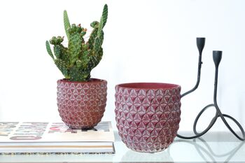Pot de fleurs en ciment | Design inspiré du pin | Pot à gobelet d'intérieur | Motif géométrique 3D | Fini à la main dans une couleur bordeaux 2