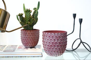 Pot de fleurs en ciment | Design inspiré du pin | Pot à gobelet d'intérieur | Motif géométrique 3D | Fini à la main dans une couleur bordeaux 3