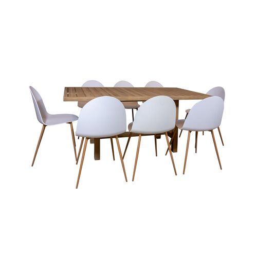 ENSEMBLE DE JARDIN AVEC TABLE EN BOIS D ACACIA 170X90XHT75CM AVEC 8 CHAISES EN POLYPROPYLENE BLANC SAONEL