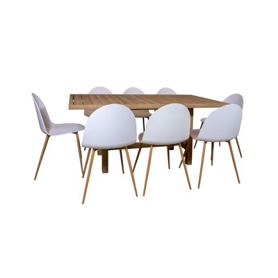 GARDEN SET WITH ACACIA WOOD TABLE 170X90XHT75CM WITH 8 SAONEL WHITE POLYPROPYLENE CHAIRS