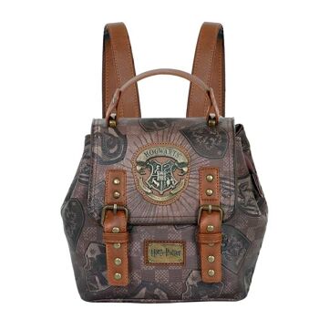 Harry Potter Pride-Bag-Backpack Quest, Marron 2