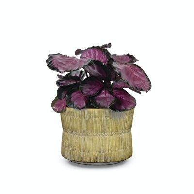 Pot de fleurs en ciment dans une texture de paille | Effet tissé bambou | Forme de sablier faite à la main | dans une couleur beige