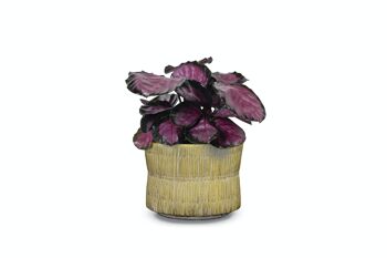 Pot de fleurs en ciment dans une texture de paille | Effet tissé bambou | Forme de sablier faite à la main | dans une couleur beige 1