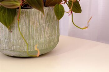 Pot de fleurs en ciment dans une texture de paille | Effet tissé bambou | Pot effilé d'intérieur fait à la main | dans une couleur citron vert 2