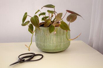 Pot de fleurs en ciment dans une texture de paille | Effet tissé bambou | Pot effilé d'intérieur fait à la main | dans une couleur citron vert 3