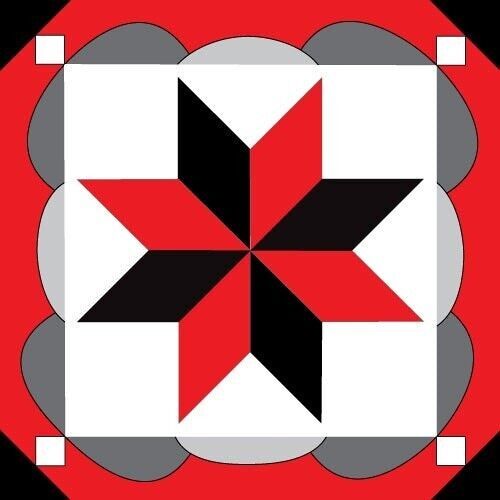 EPONGE DE MENAGE CC2BIS -ETOILE ROUGE