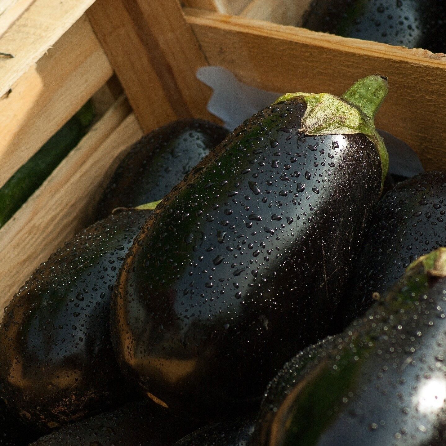 Caponata Siciliana 1000g
