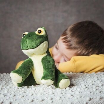 Peluche grenouille peluche Arwin - doudou 2