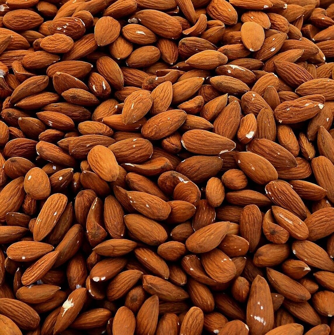 Paste di mandorla al Pistacchio 1000g