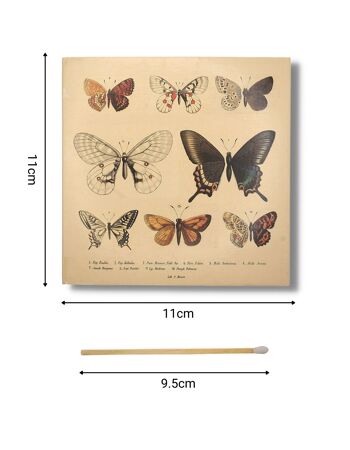 Curator Home Allumettes de sécurité longues de luxe I Boîte d'allumettes carrée design papillons botaniques 2