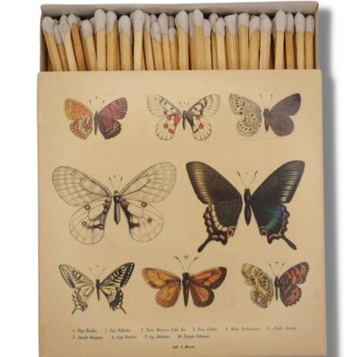 Curator Home Lujo Larga Seguridad Fósforos I Mariposas Botánicas Diseño Caja de Cerillas Cuadrada