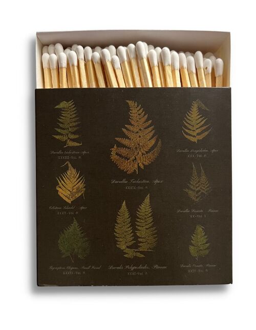 Luxury Gift Long Safety Matches | Botanical Ferns Chart