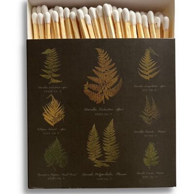 Luxury Gift Long Safety Matches | Botanical Ferns Chart