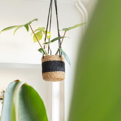 Hanging Basket Plant Basket Natural/Black
