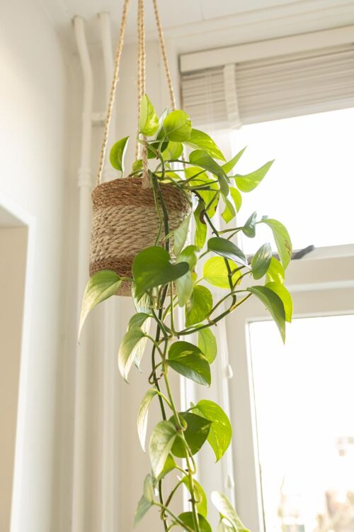 Hanging Basket Jutemandje Plant Basket Natural/White