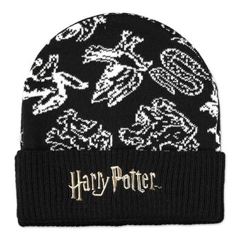 Harry Potter Wizards Unite Hogwarts Houses Coffret cadeau bonnet et écharpe Noir/blanc (GS266537HPT) 2