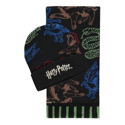 HARRY POTTER Wizards Unite Hogwarts Houses Beanie & Schal Geschenkset, Mehrfarbig (GS802600HPT)
