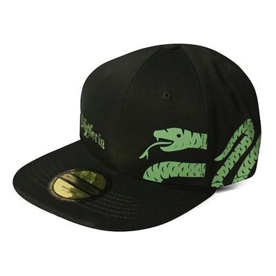 HARRY POTTER Wizards Unite Slytherin Logo & Symbol Snapback Baseball Cap, Schwarz (SB107336HPT)