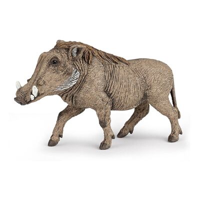 PAPO Wild Animal Kingdom Warthog Toy Figure, tre anni o più, marrone (50180)