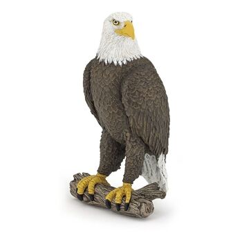 PAPO Wild Animal Kingdom Sea Eagle Toy Figure, trois ans ou plus, marron/blanc (50181) 1