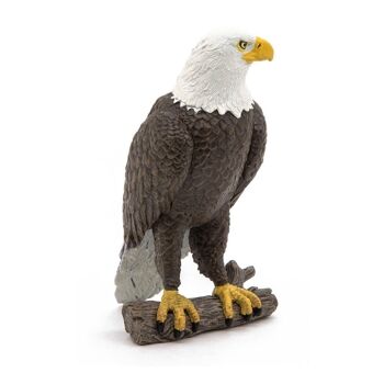 PAPO Wild Animal Kingdom Sea Eagle Toy Figure, trois ans ou plus, marron/blanc (50181) 3