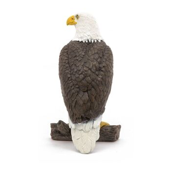 PAPO Wild Animal Kingdom Sea Eagle Toy Figure, trois ans ou plus, marron/blanc (50181) 5