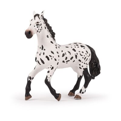 PAPO Large Figurine Grande figura giocattolo del cavallo Appaloosa, 3 anni o più, bianco/nero (50199)